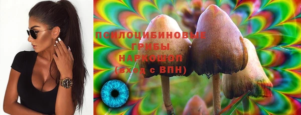 2c-b Богородицк