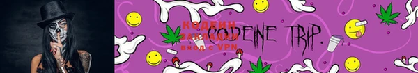 PSILOCYBIN Богданович