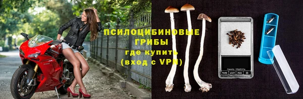PSILOCYBIN Богданович